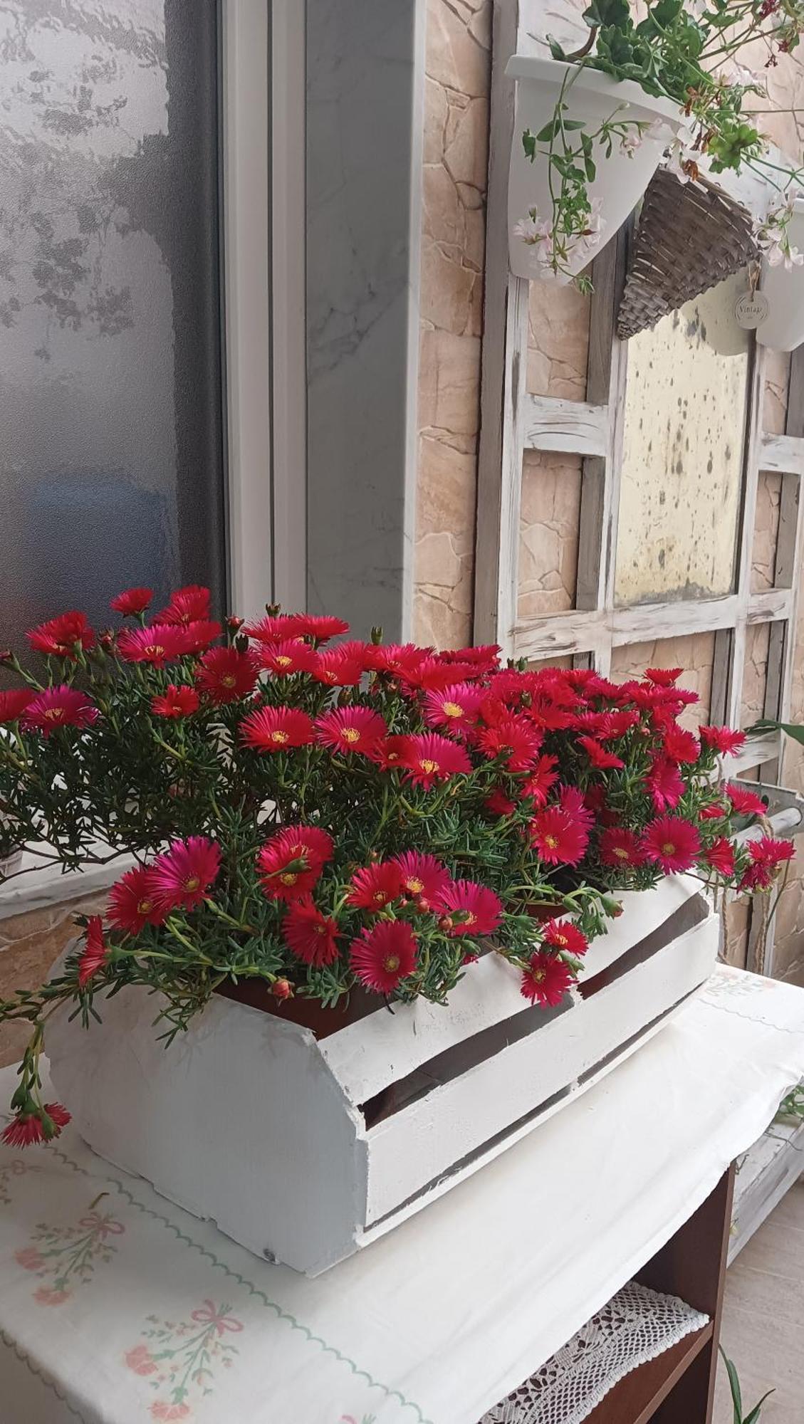 Le 3 Dee Bed & Breakfast Reggio di Calabria Phòng bức ảnh